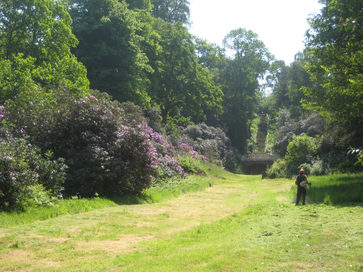 grass strimming 23 may